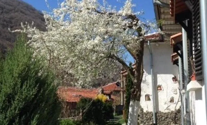 Къща за гости Спасителна
