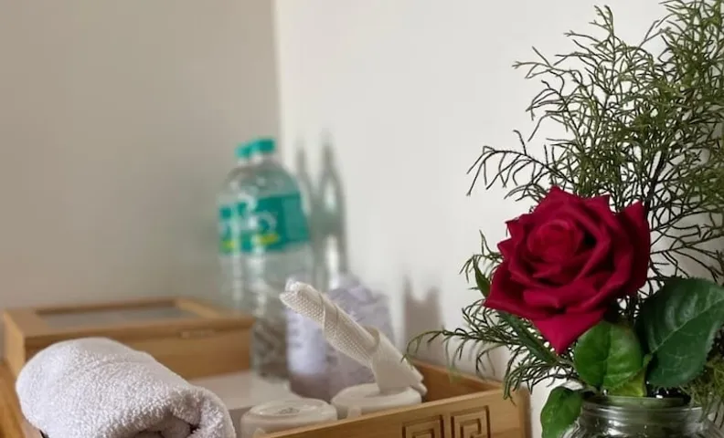 하야시 리조트