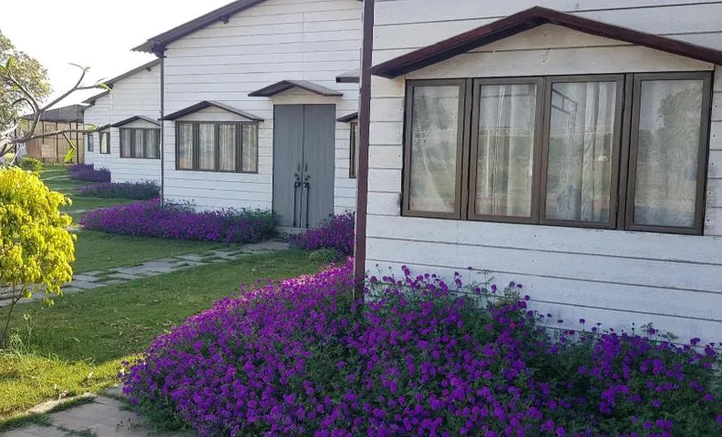 Living Green Farms