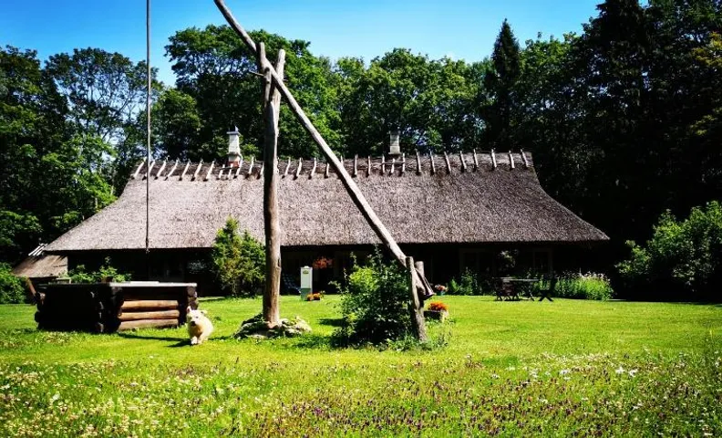 Kotka Farm