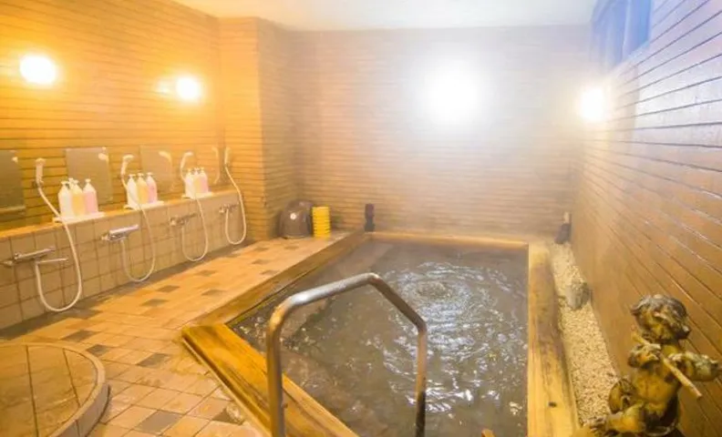 Ichiyanagi Hotel