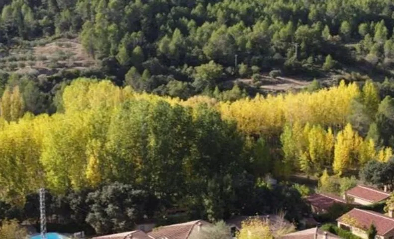 Casas rurales amable- yeste