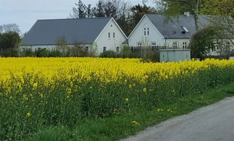 Birkelund BnB
