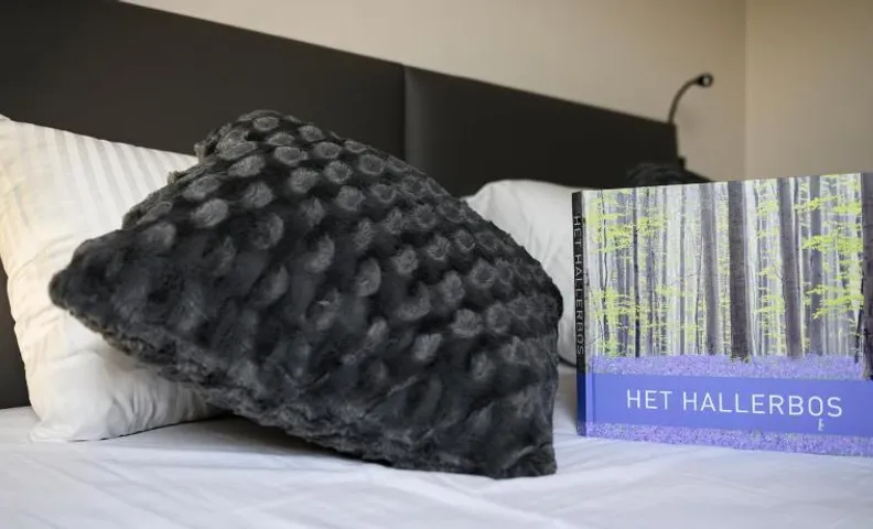 B&B Hof ter Kouter