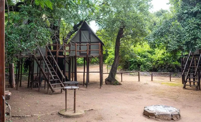 Pafuri Accommodation Rivercamp