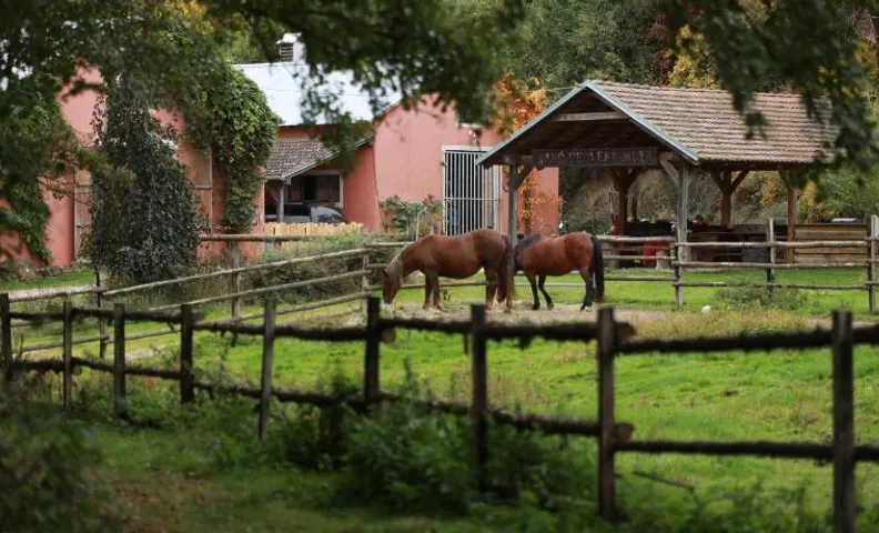 Ranč Červený mlýn