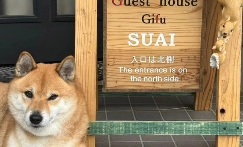 Guesthouse Gifu SUAI