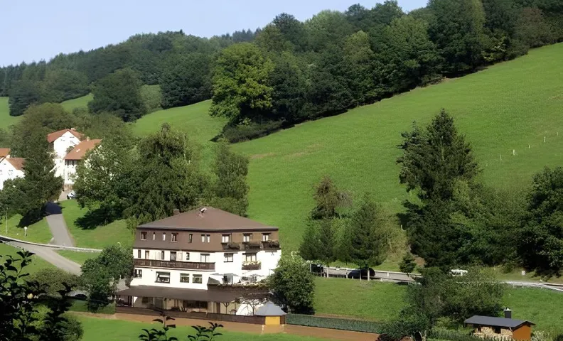 Hotel Gruner Baum mit Restaurant & Wellness