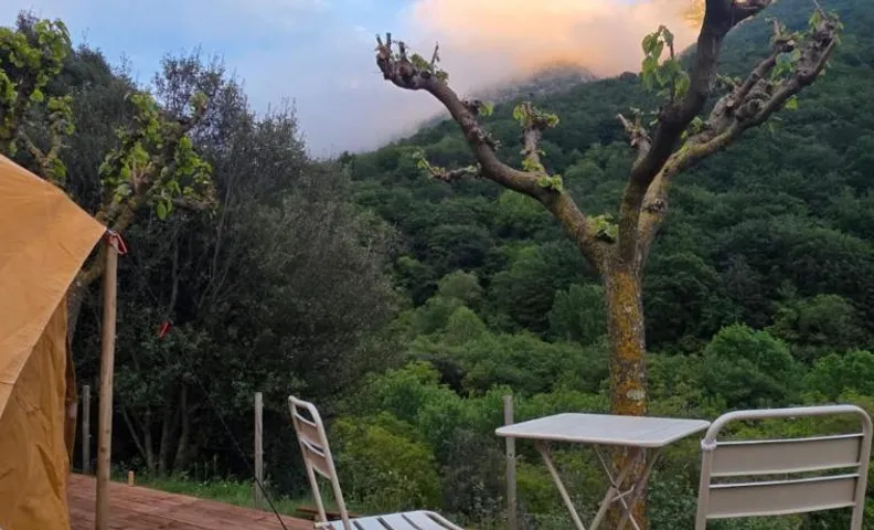 Nova Forest Montseny