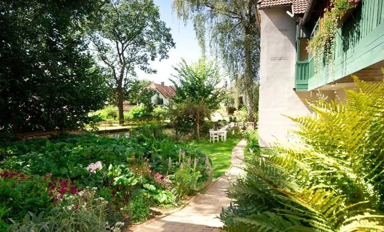 Apartmány U rybníčku