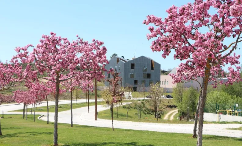 Cró Hotel and Termal Spa