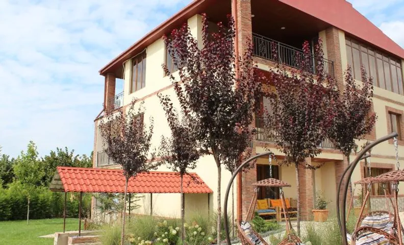 Villa Vitis