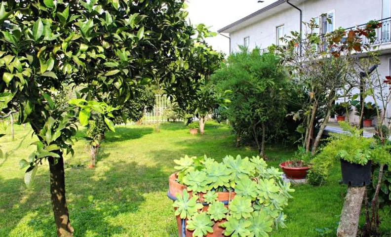Il Moro Bianco