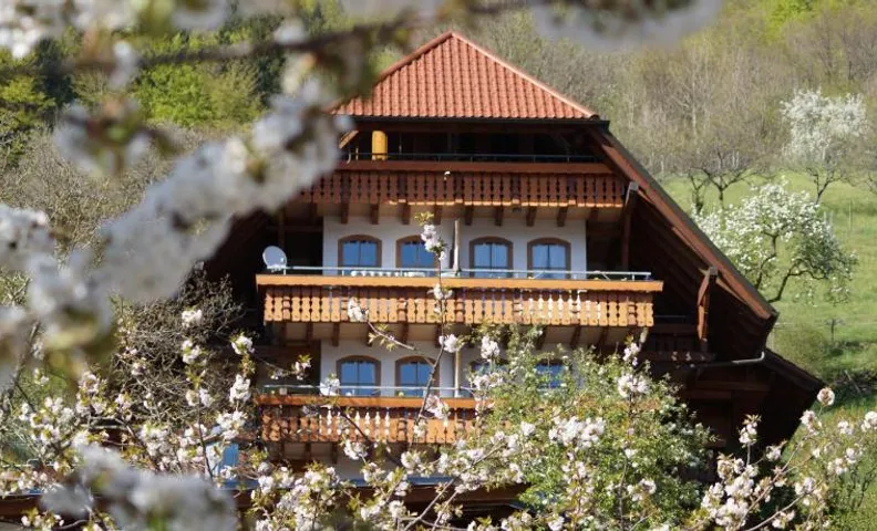 Ehrenmattlehof Faißt
