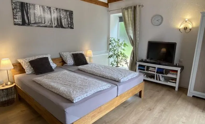 Großes Doppelzimmer mit eigenem Bad und Kühlschrank, frisch saniert