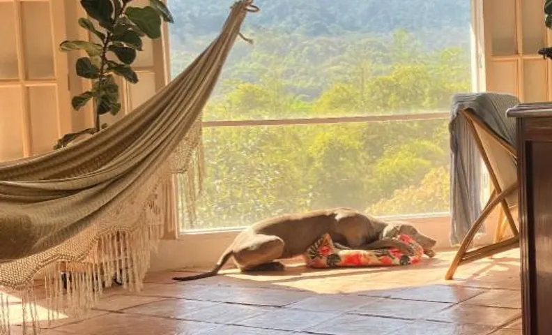Mi Casa en Minca