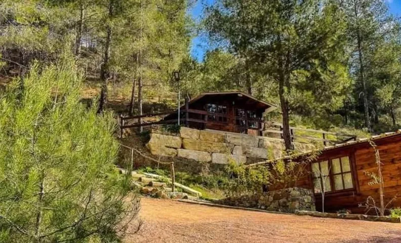 Bosco Paradiso