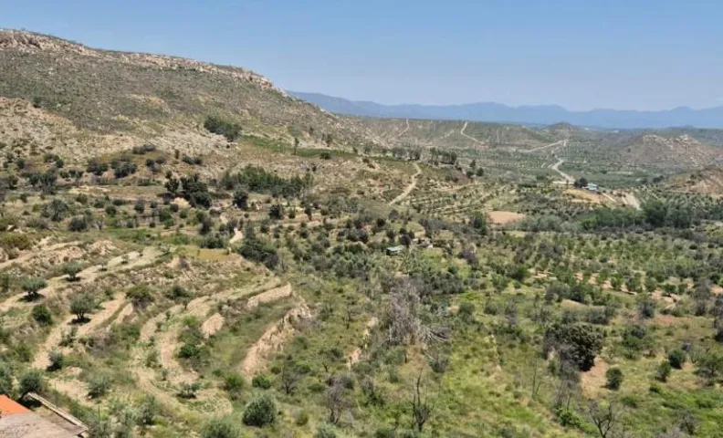 Hotel Rural Antonio Ponz