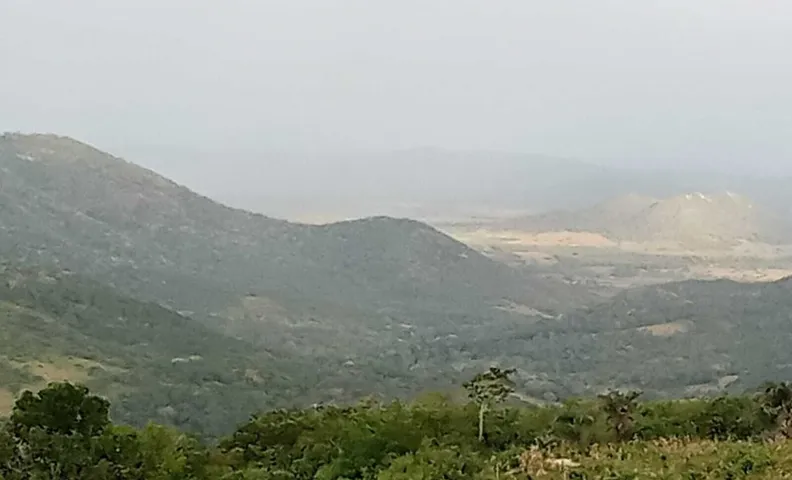 레푸히오