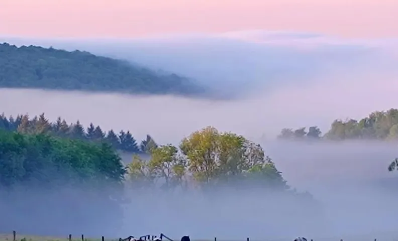 Auprès de mon arbre
