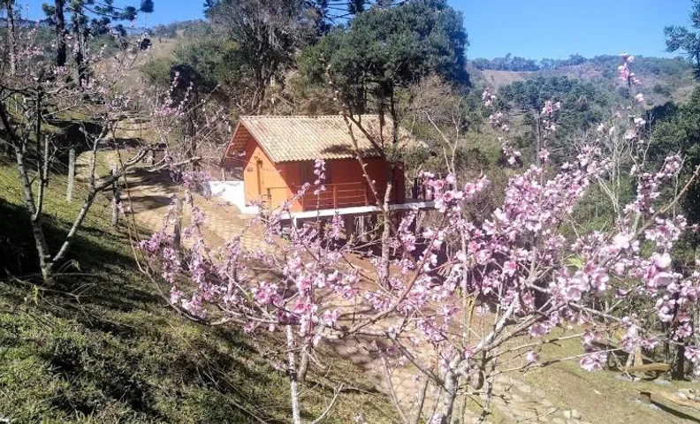 Chalé da Mata