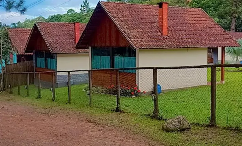 Palmeira Azul