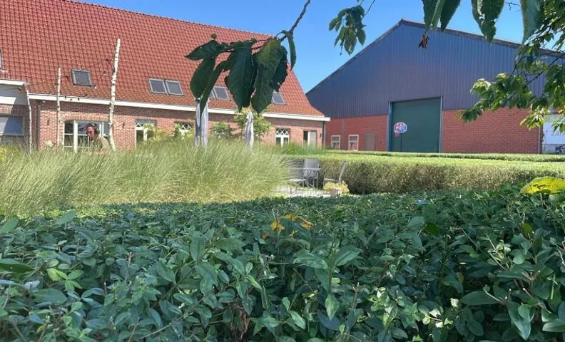 B&B De Zandput