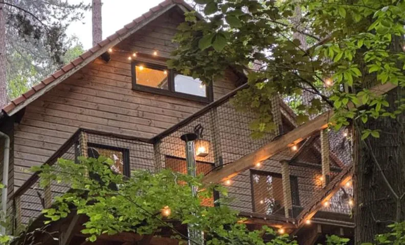 Chalet dans les bois avec bain nordique et cinéma