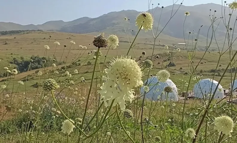 글램핑 파크