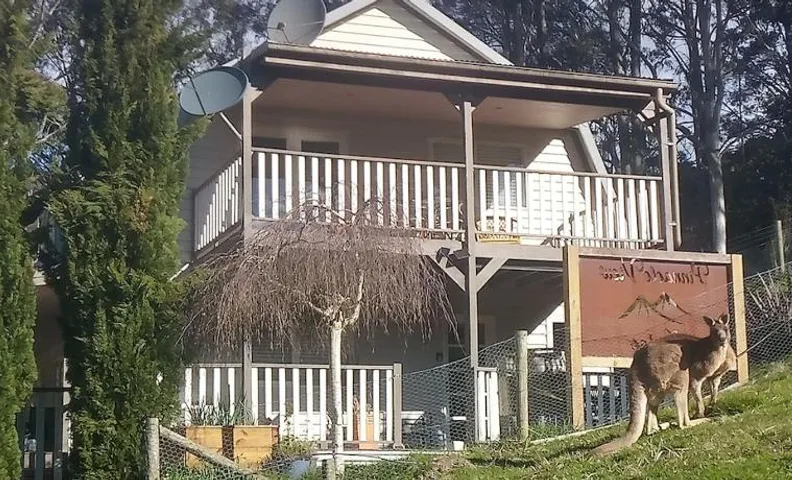 Pinnacle View Lodge or Treetops Lockoff Apartment in Merrijig at base of Mt Buller
