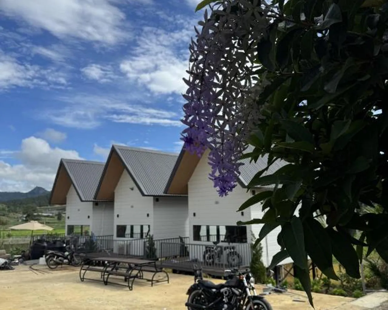 주변 환경