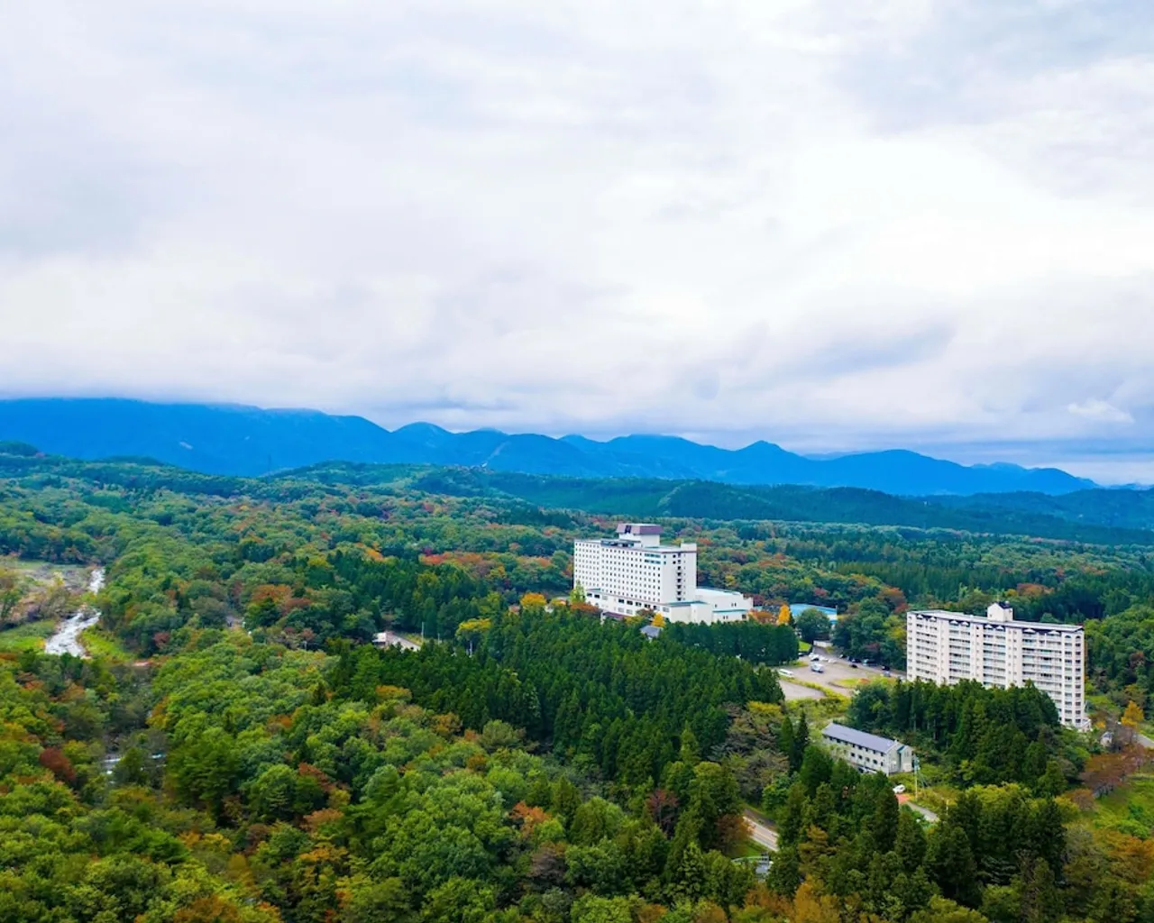기본 이미지