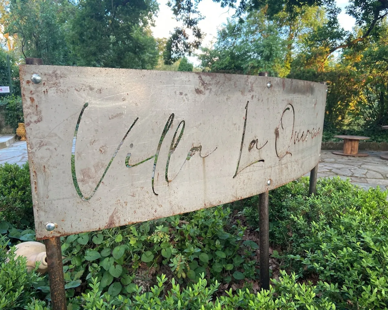 기본 이미지