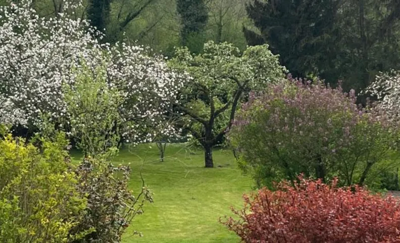 Chambre dans jolie nature