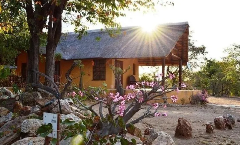 Bushvilla's Silonque