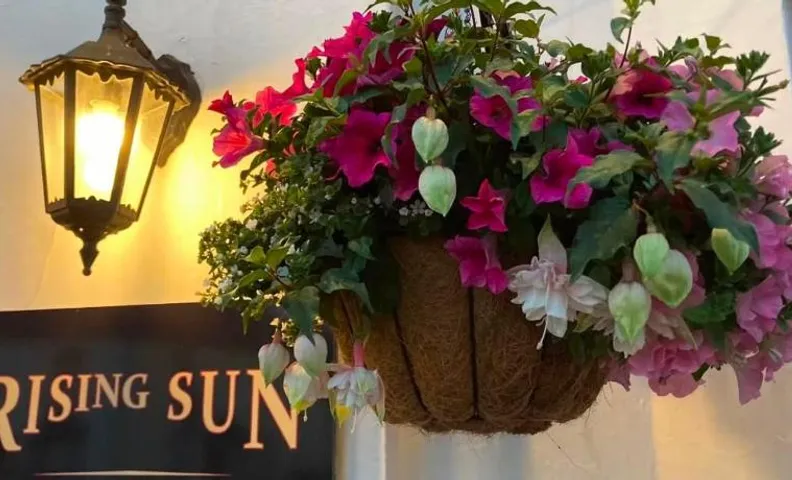 Rising Sun Sidford