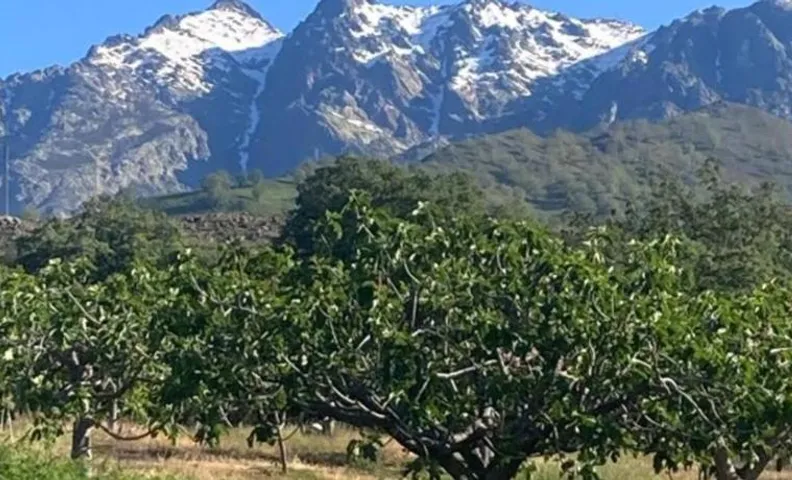 MIRADA A GREDOS