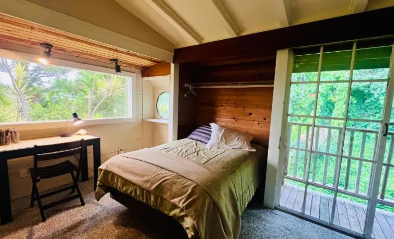 Ha'Alani Oceanview Tropical Paradise