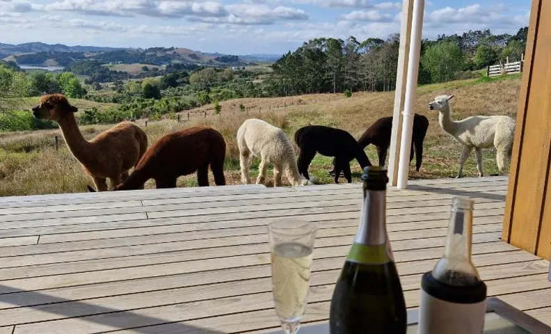 HavenRidge Alpaca Glamping Cabins