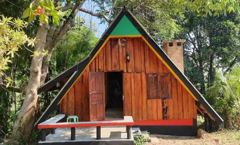 Jungle zone pai