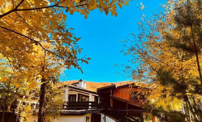 Alpinlife