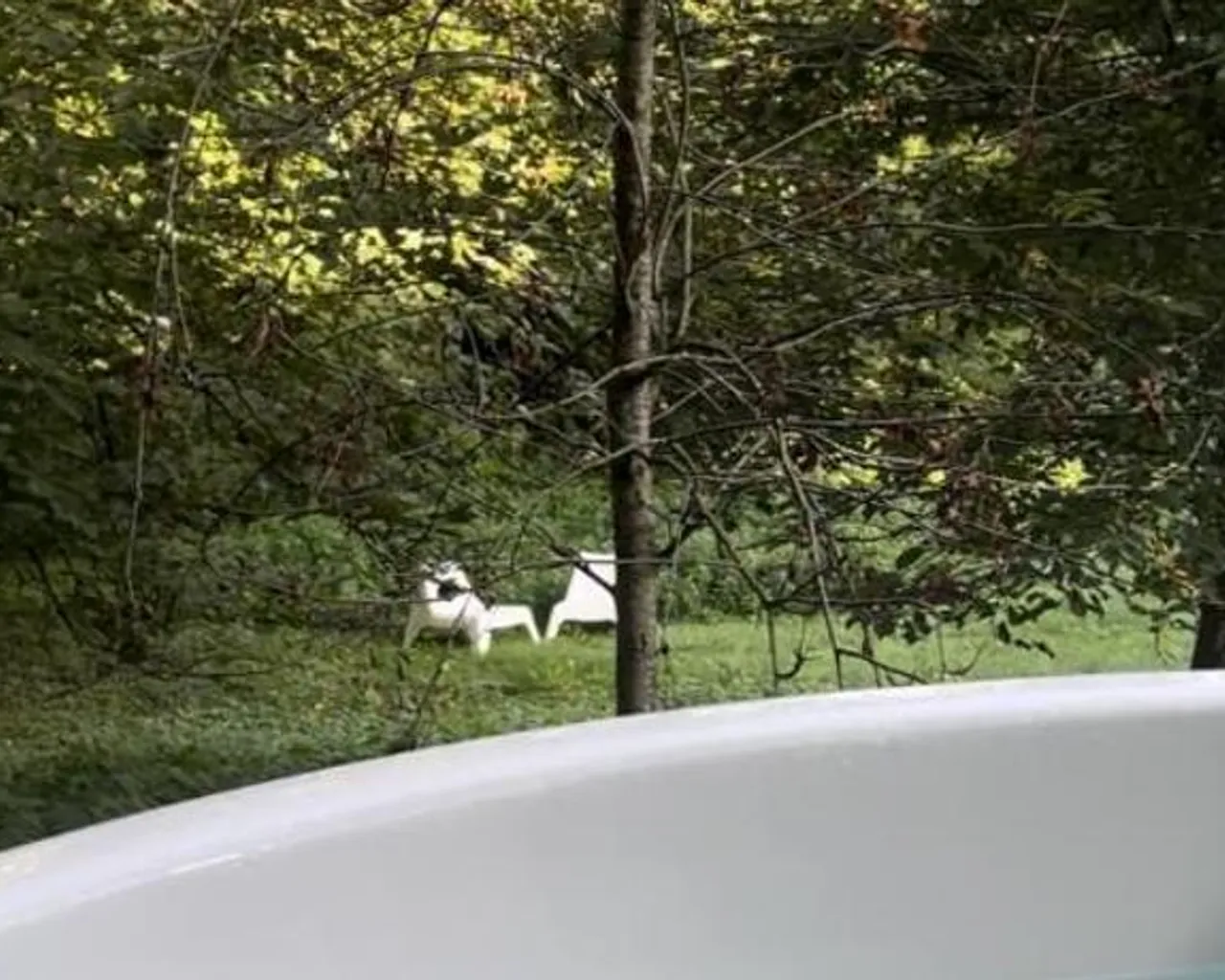 주변 환경