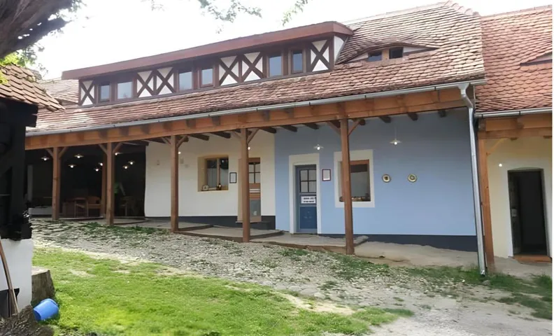Viscri 44