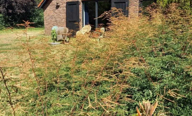 Ruim vakantie huis Marke Lemselo in de rust en natuur