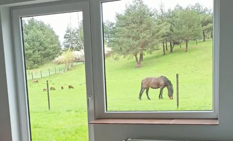 Pokoje gościnne Trąbki Małe k.Gdańska