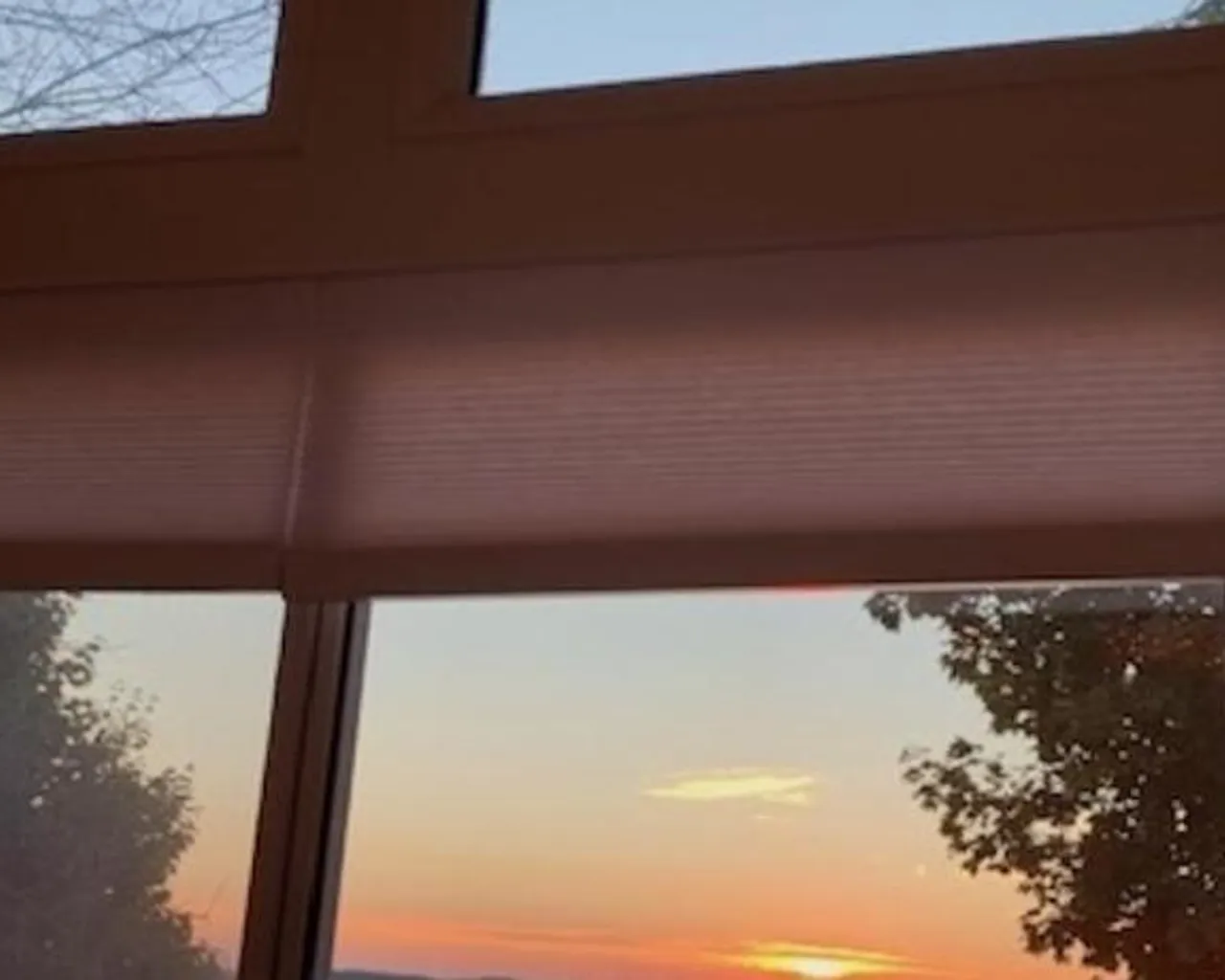 주변 환경