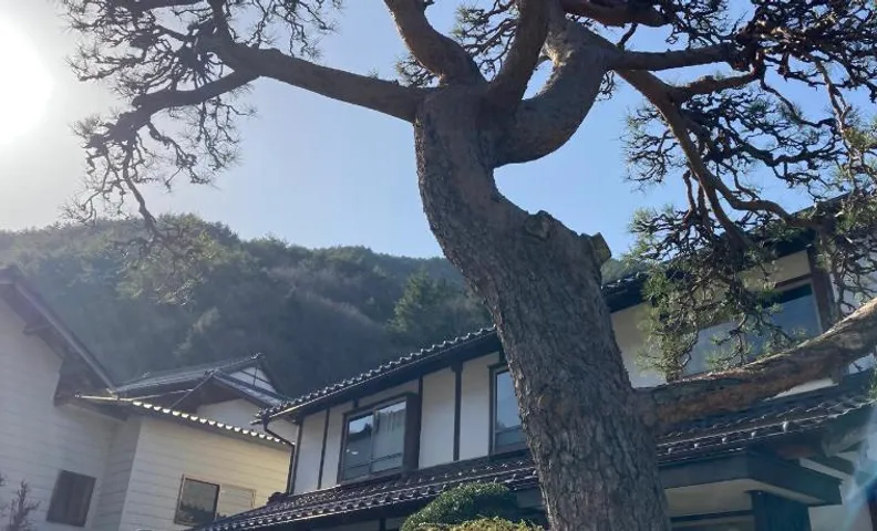 TAZAWA BOSSA inn