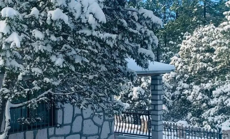 Cabañas las Gemelas