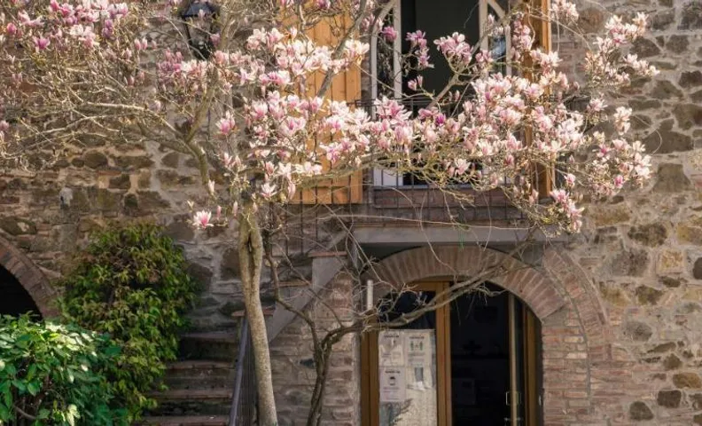 La Magnolia