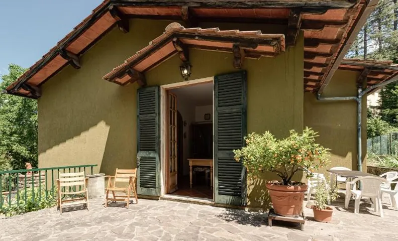 Gigli di Firenze
